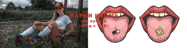 хмурый Лагань