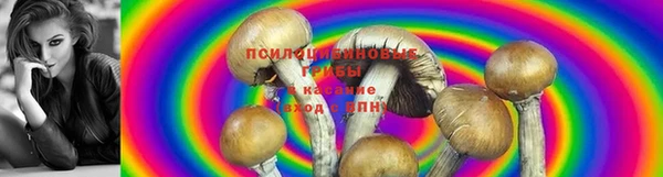 а пвп мука Лихославль