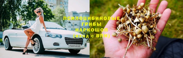 хмурый Лагань