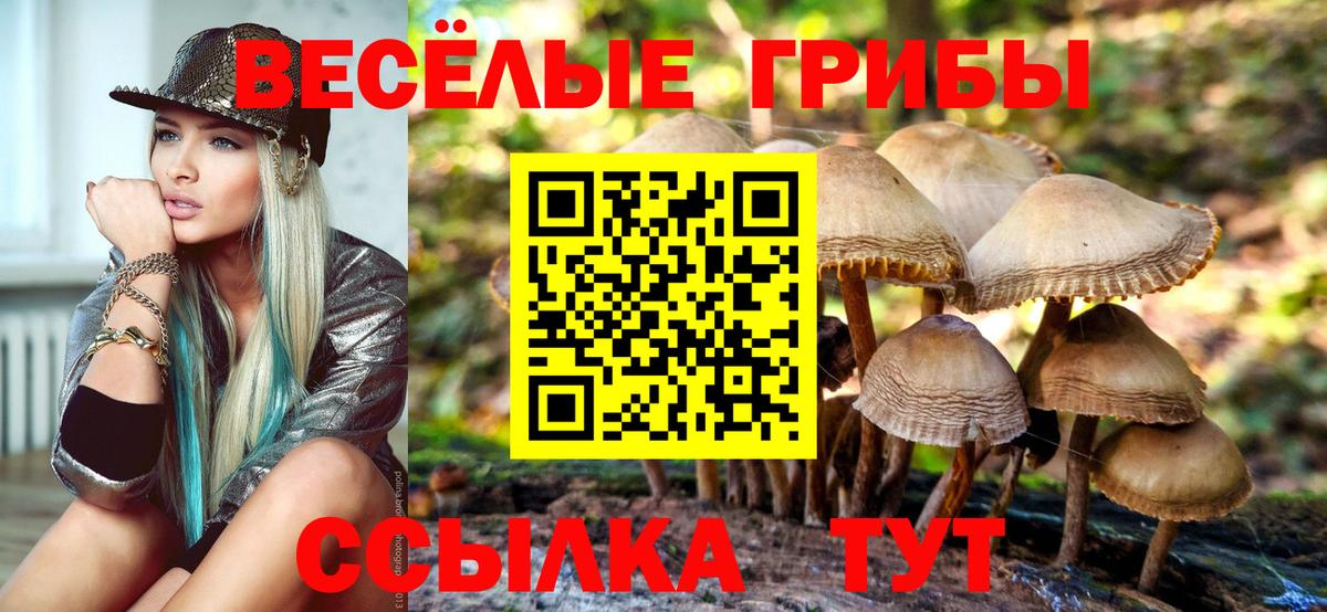 Галлюциногенные грибы Cubensis Наро-Фоминск